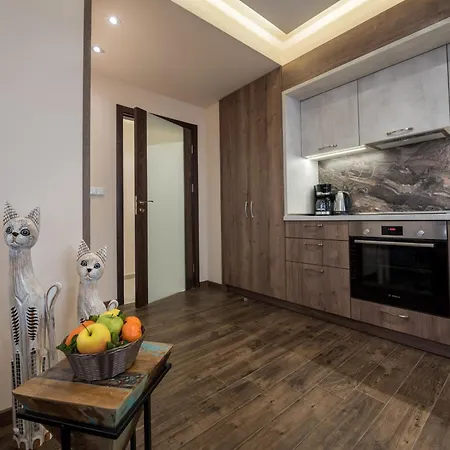 Cats Apartament Warna