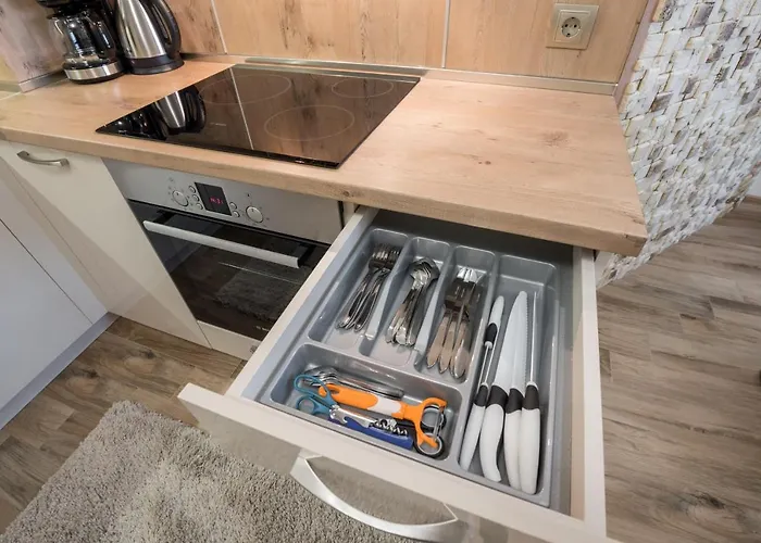 Apartment Cats Varna